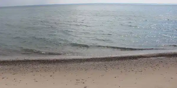 N Forest Beach Shores