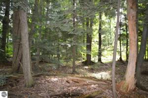 4103 White Birch