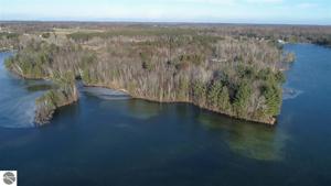 0000 Tippi Trail
