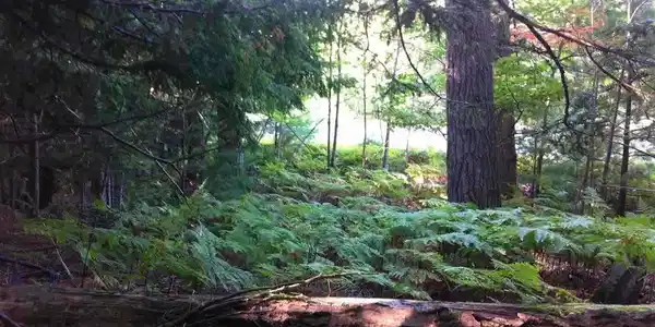 Lot 25 N Knollwood Drive