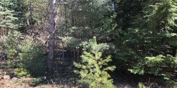 Lot 82 Knollwood