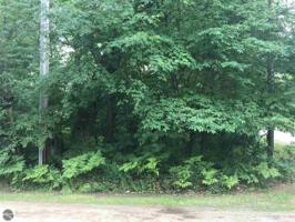 00000 S Ogemaw Trail