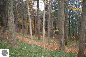 0 Unit #6 Plum Drive