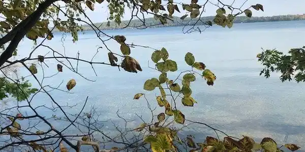 8240 Lakeside Trail