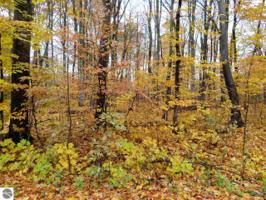000 White Birch Drive