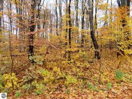 000 White Birch Drive