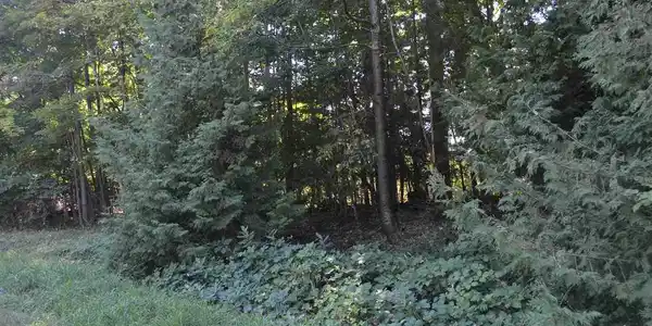 lot 188 N Forest Beach Shores