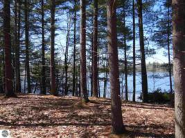 LOT C Betsie River Road