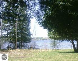 White Birch Lane