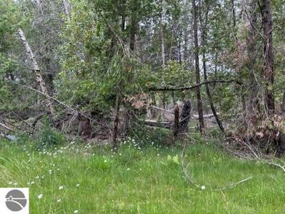 00 Pine Tree Trail