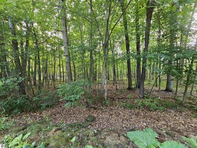 lOT 6 Jose Lake Drive