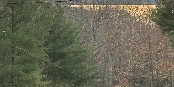 00 Mountain Road