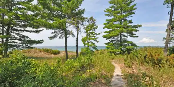 11 Beach Comber