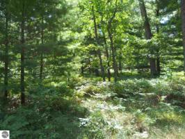 Deepwood Drive