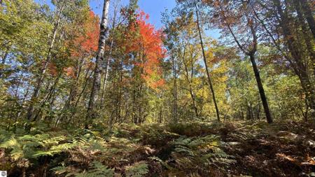 Lot 135 Montrose Drive