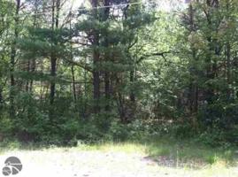 0 N Wolverine Trail