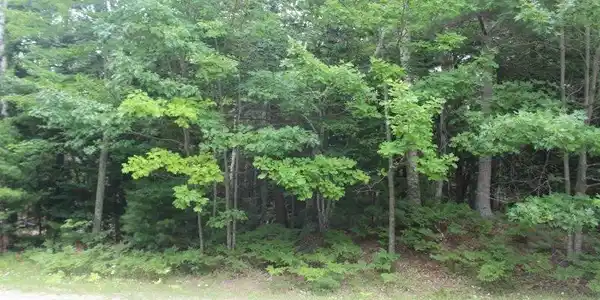 Lot 24 Knollwood Drive