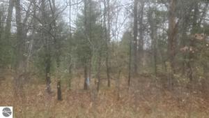 Lot 217 Whitetail Court
