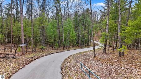 195 Starflower Lane
