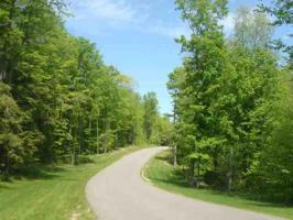 Lot 16 Pleasantview Woods Drive