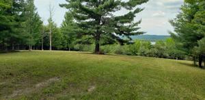 00150 Orchard Drive