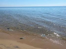 tbd S Lakeshore Dr