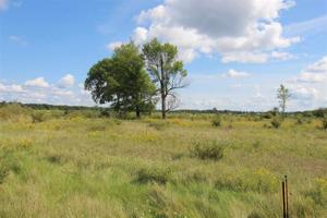 Eagle Beach Lot 51