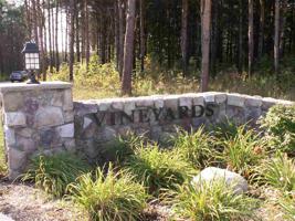 3296 Vineyard Court Lot 5