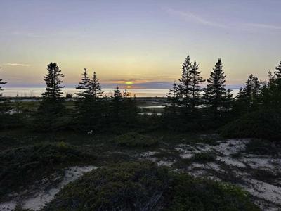 TBD Mrs. Reddings Trail Lot Parcel #5