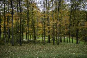 Unit 31 Saalbach St. (PVT) Lot 31