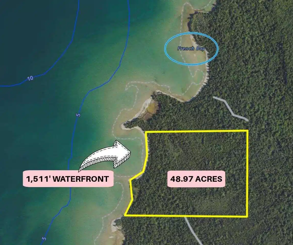 Image 1: Image 1