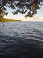 Lakeshore Drive