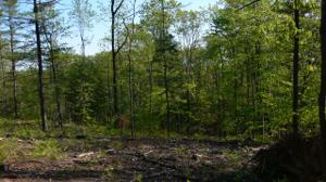 Lot 5 Vistas of Walloon Lot 5