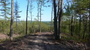 Lot 6 Vistas of Walloon Lot 6