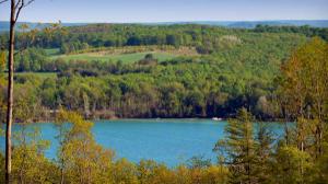 Lot 9 Vistas of Walloon Lot 9