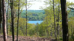 Lot 10 Vistas of Walloon Lot 10