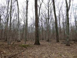 0 McFaddens Trail