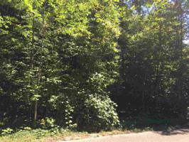 Lot Raspberry Ct.