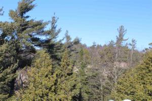 3625 Sturgeon Bay Shores Trail