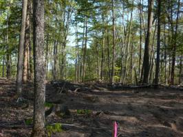 Unit 2 Vistas of Walloon Lot 2