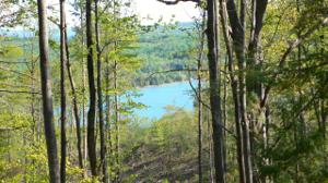 Unit 11 Vistas of Walloon Lot 11