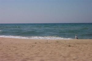 3775 Topside Drive, Lot 52
