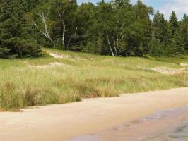 8476 Pine Ridge Drive Lot Unit 4 of Seven Mile Point Ridges #2