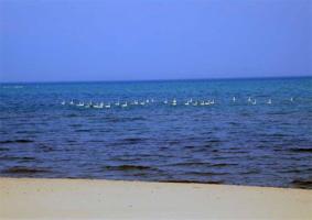 3947 Island Watch, Lot 29