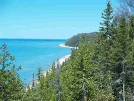 Lower Shore Drive