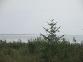 Lot 002 Gull Harbor Road