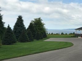 320 Crooked Tree Drive