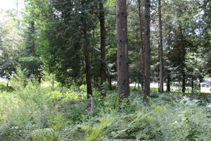 999 Beach Road Lot #1