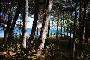 Western Shores Road