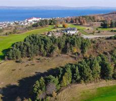 335 Crooked Tree Drive